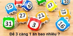 Đề 3 càng ăn bao nhiêu