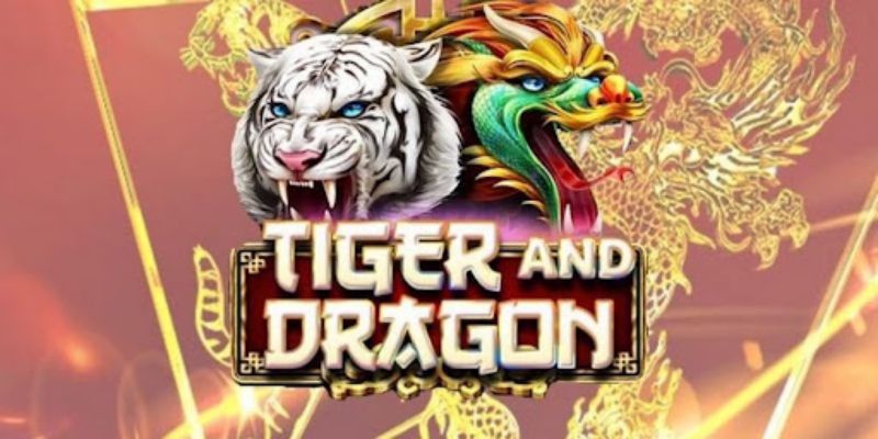 Thủ thuật chơi Dragon Tiger bao thắng lớn từ chuyên gia